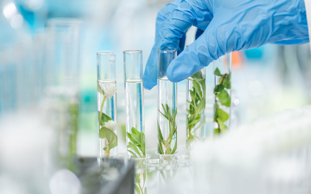 Biotech Meets Lifestyle: Incorporating Health Innovations Into Daily Living